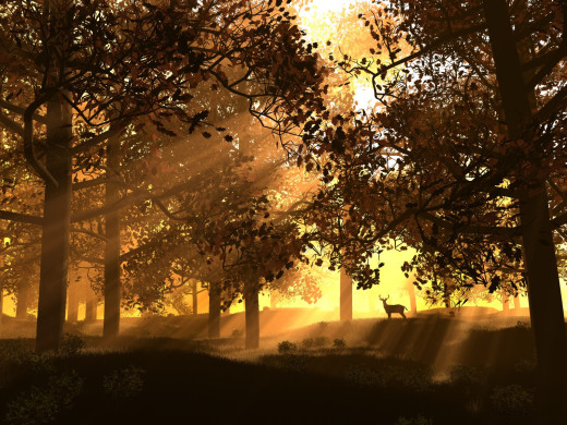 14638 (a): :1600x1200